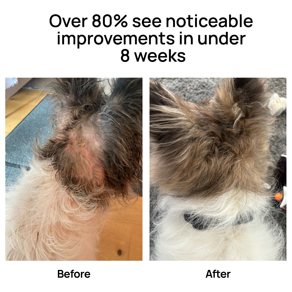 GutDiscovery® Test + Gut Health Report - OUT OF STOCK