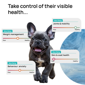 GutDiscovery® Test + Gut Health Report - OUT OF STOCK