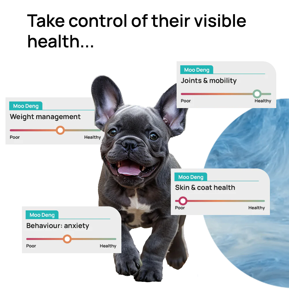 GutDiscovery® Test + Gut Health Report - OUT OF STOCK