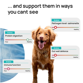 GutDiscovery® Test + Gut Health Report - OUT OF STOCK