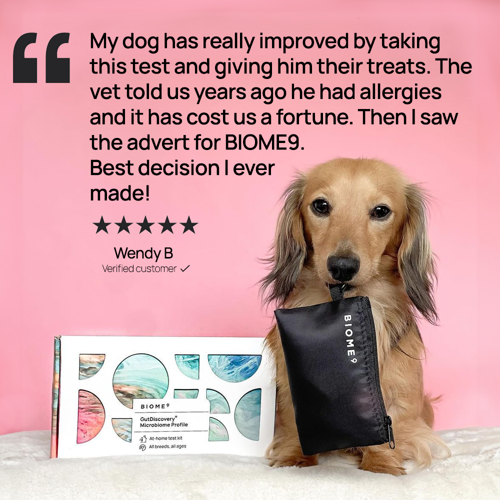 GutDiscovery® Test + Gut Health Report - OUT OF STOCK