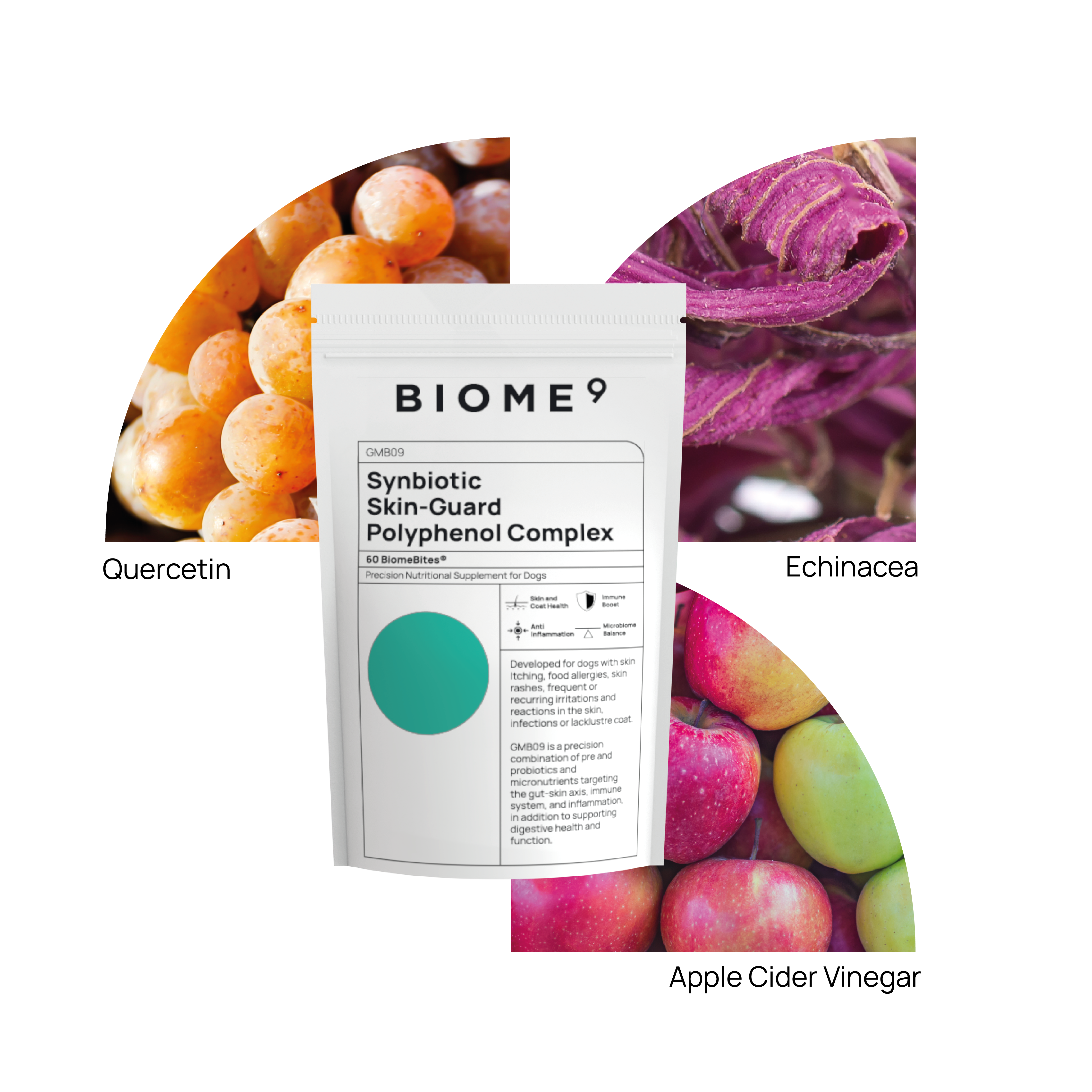Synbiotic Skin-Guard Polyphenol Complex