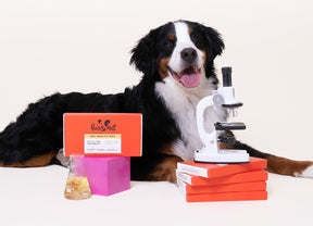 Gut Health Testing for Every Dog, from Vets to Pets