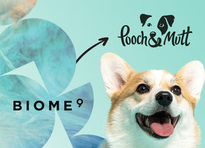 Introducing the BIOME9 × Pooch & Mutt Collaboration