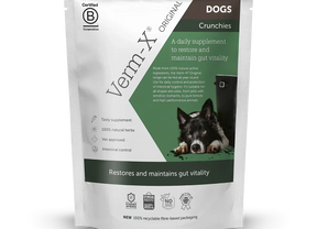 Study Recruitment - Could Your Dog Help Shape the Future of Gut Health?