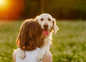 The Human ↔ Canine Gut Microbiome Cross Over