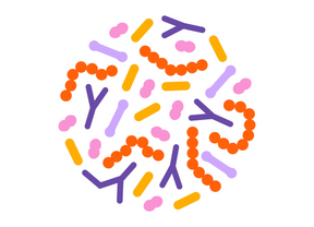 Exploring the Future of Gut Health: BIOME9's Industry Journal Club