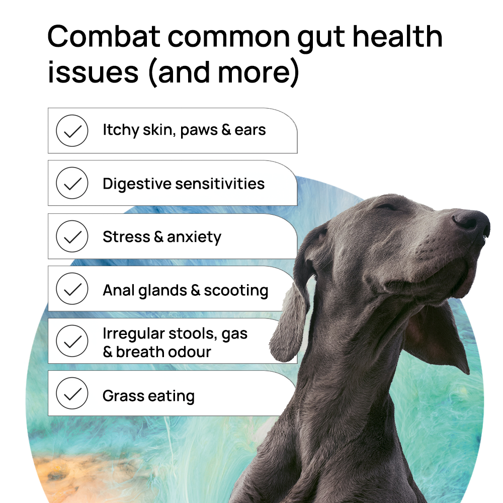 GutDiscovery® Test + Gut Health Report