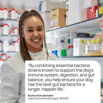The 7-Strain 'Good Gut' Probiotic