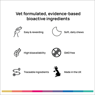 Adaptogenic Immuno Probiotic