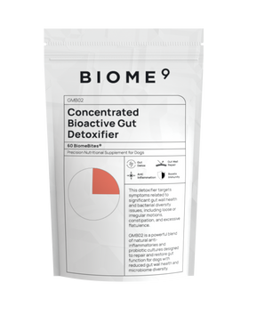 Concentrated Bioactive Gut Detoxifier