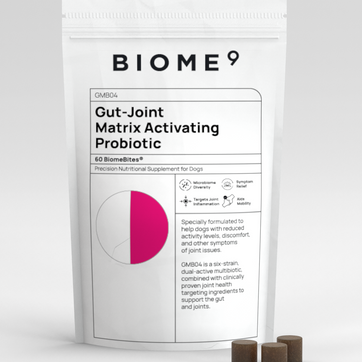 Gut-Joint Matrix Activating Probiotic