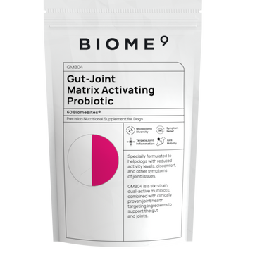 Gut-Joint Matrix Activating Probiotic