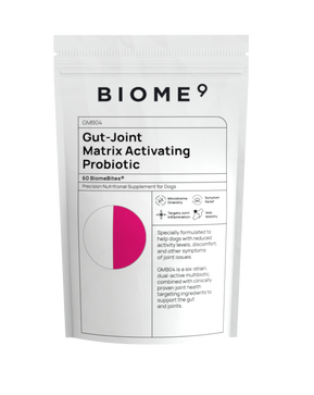 Gut-Joint Matrix Activating Probiotic