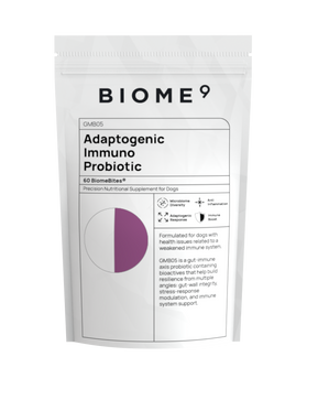 Adaptogenic Immuno Probiotic