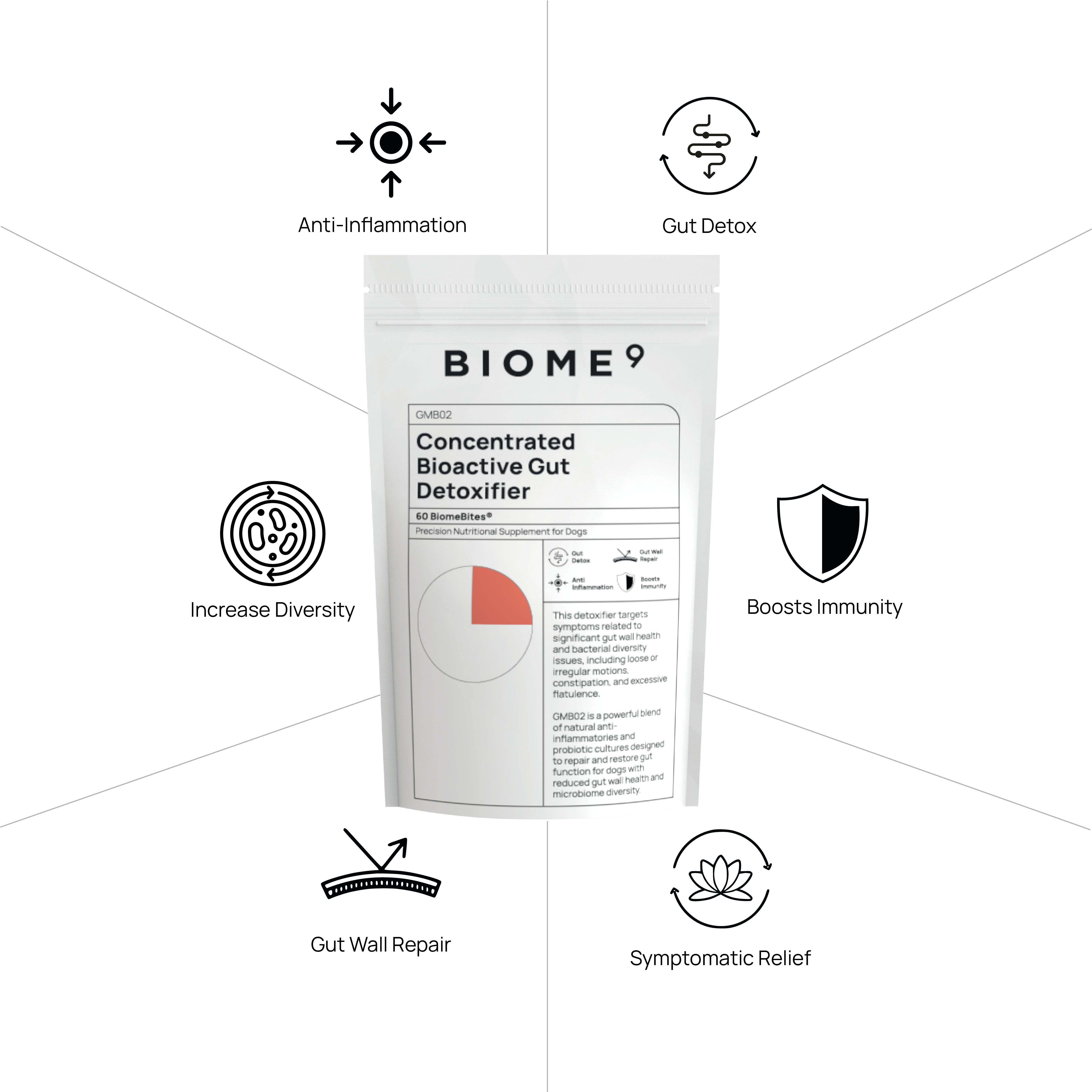 Concentrated Bioactive Gut Detoxifier