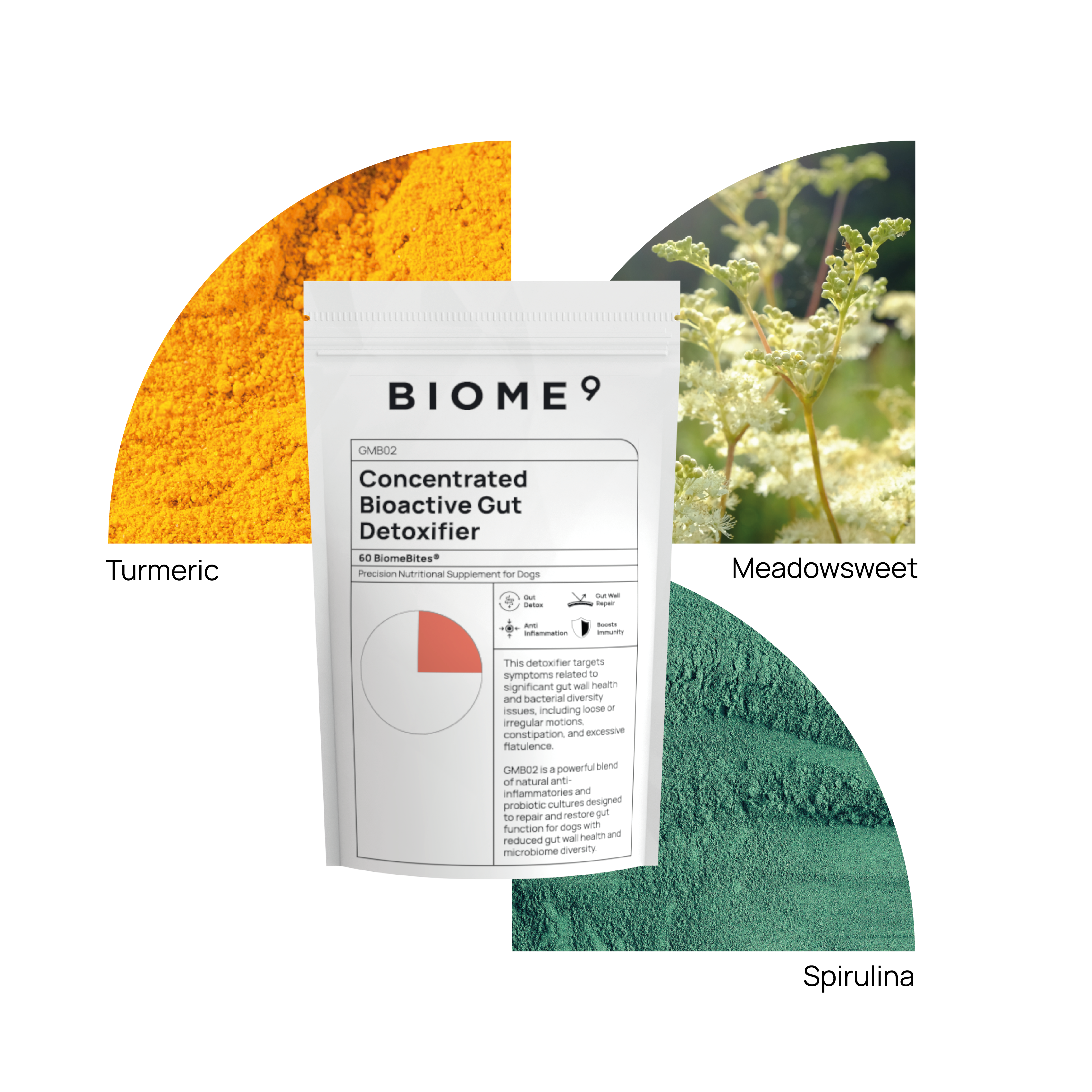 Concentrated Bioactive Gut Detoxifier