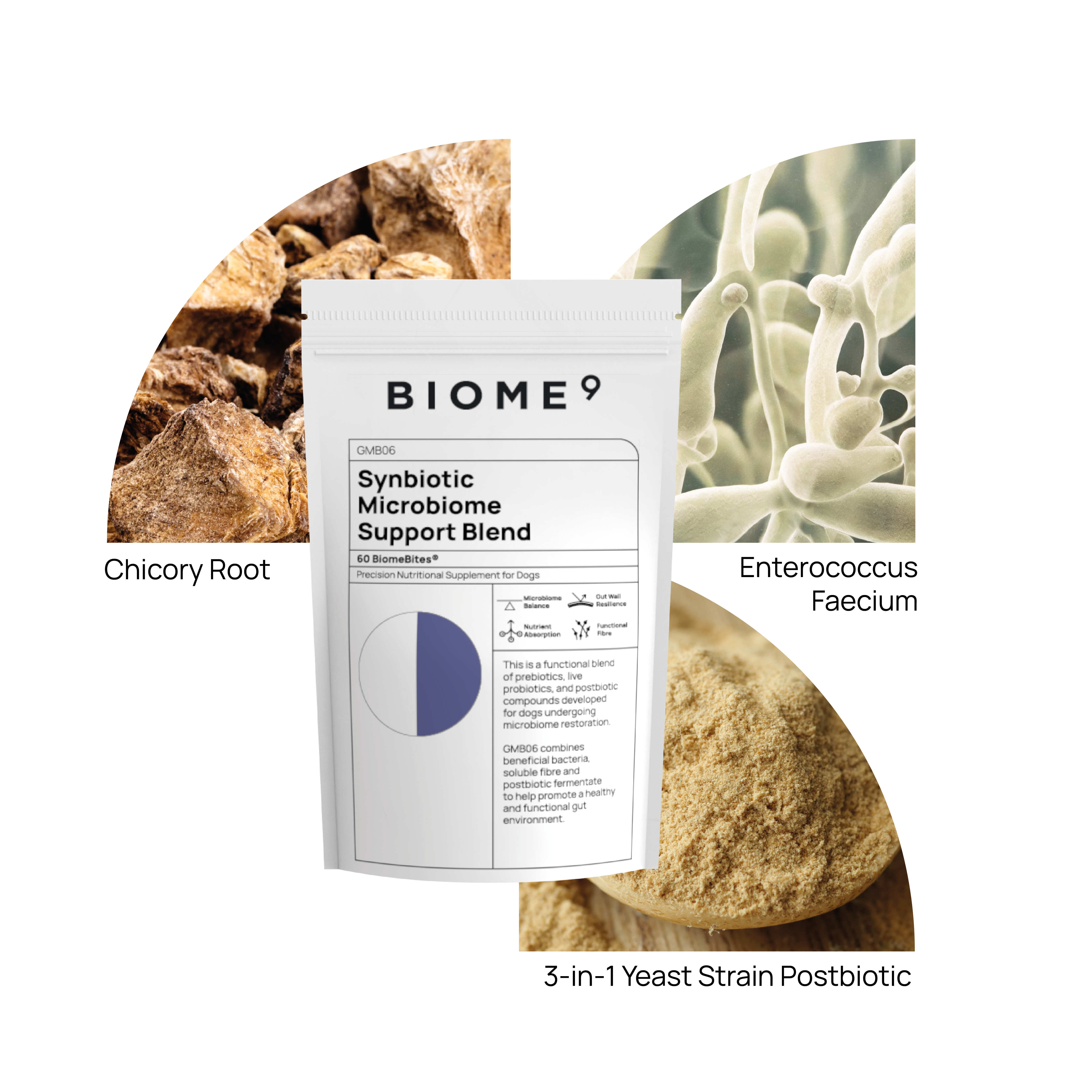 Synbiotic Microbiome Support Blend