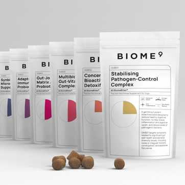 Concentrated Bioactive Gut Detoxifier