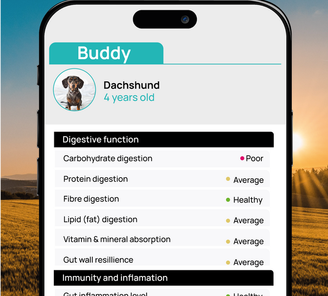 BIOME9 GutDiscovery® Dog Gut Microbiome Test Kit & Report For Dogs